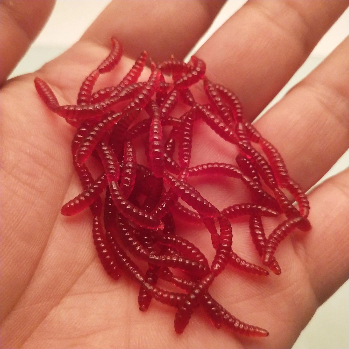 Earthworm Bait