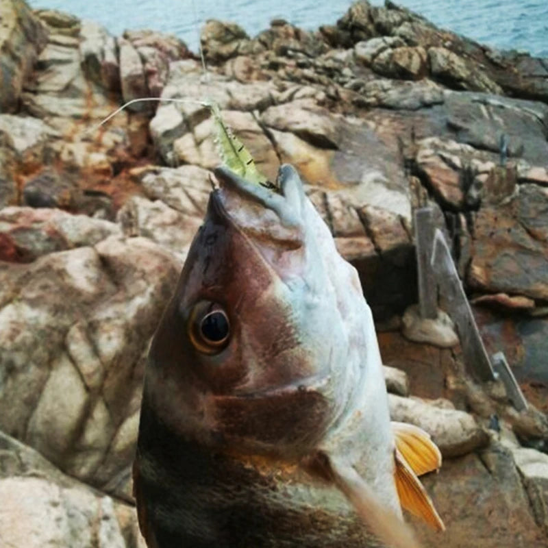 Soft Prawn With Hooks