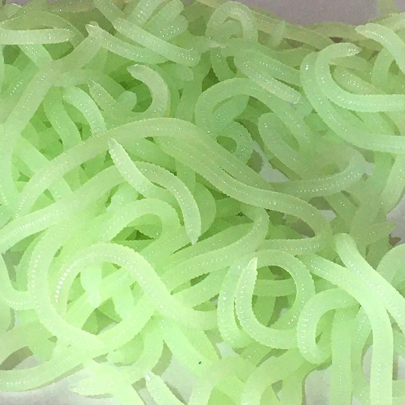 Earthworm Bait