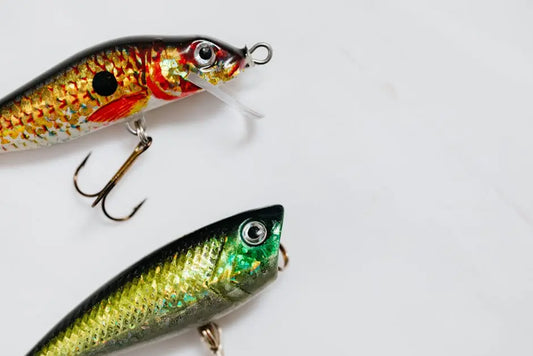 Can Topwater Lures Be Used in Freshwater and Saltwater?