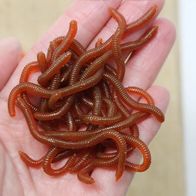 Earthworm Bait